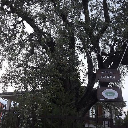 B&B Rosa Del Garda Lazise Exterior foto